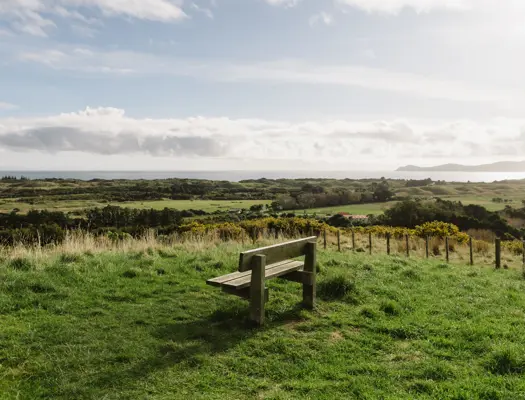 Coastal Lookout Walk