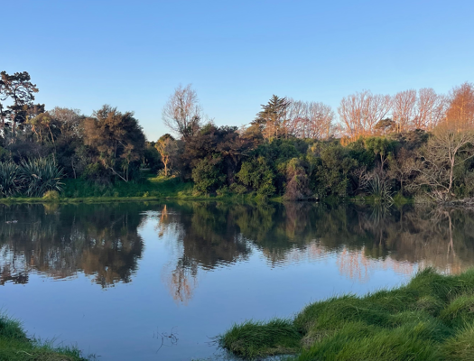 Chrystalls Bend Walkway