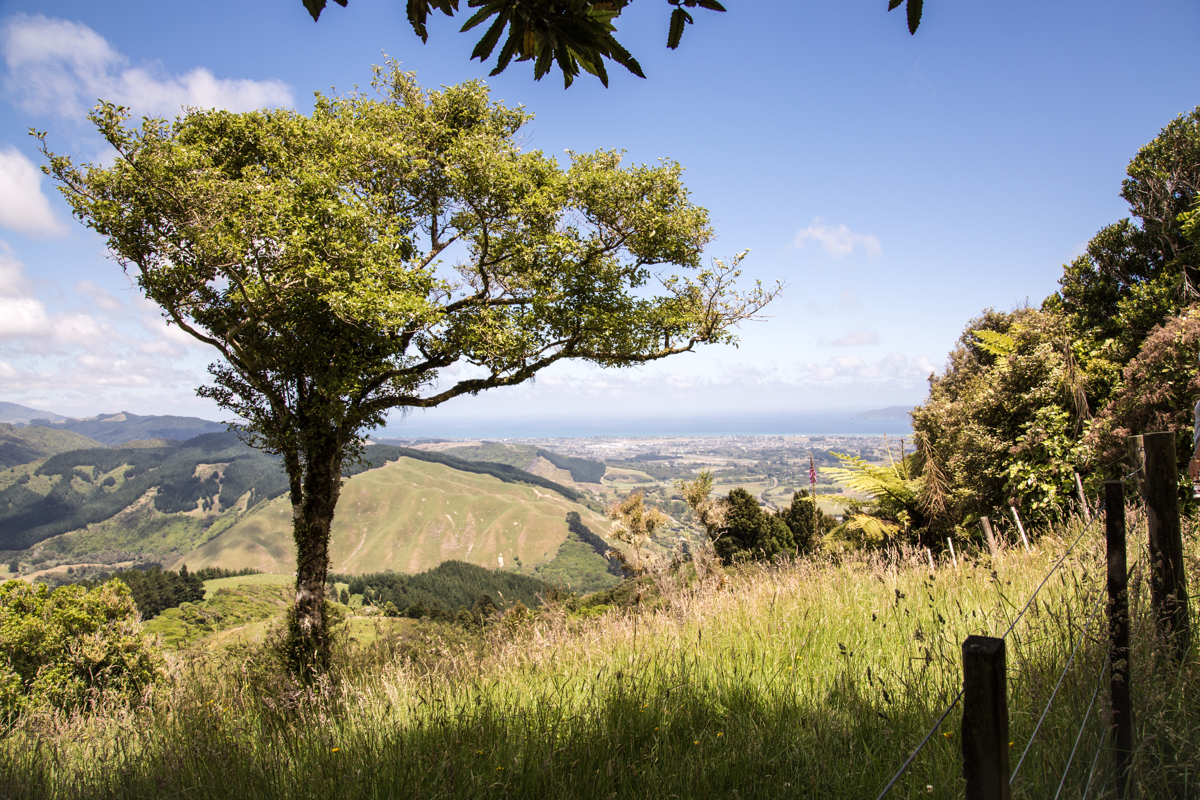 Parata Track, Hemi Matenga, Waikanae