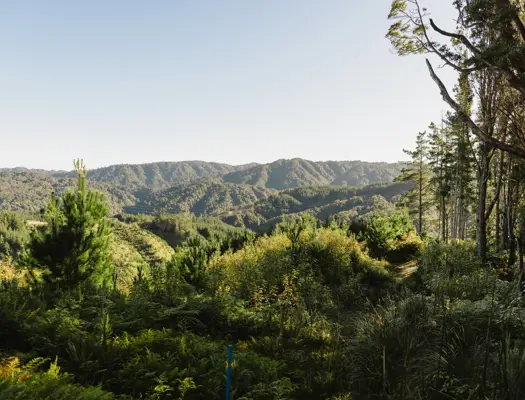 Pukeatua Track