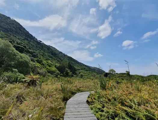 Rangatira Loop Walk