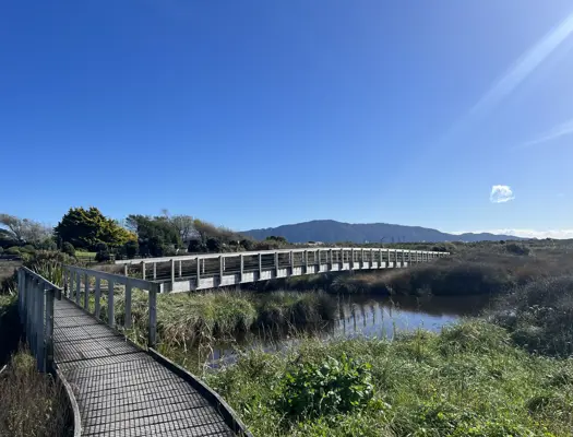 Waikanae Estuary