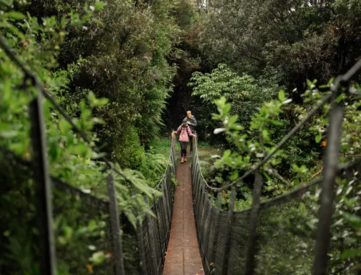 Mangaone Walkway